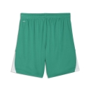 teamLIGA26 Shorts Sport Green-PUMA White-PUMA White