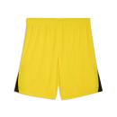 teamLIGA26 Shorts Faster Yellow-PUMA Black-PUMA Black