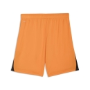 teamLIGA26 Shorts Rickie Orange-PUMA White-PUMA Black