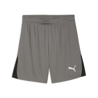 teamLIGA26 Shorts Flat Medium Gray-PUMA White-PUMA Black