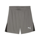 teamLIGA26 Shorts Flat Medium Gray-PUMA White-PUMA Black