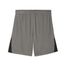 teamLIGA26 Shorts Flat Medium Gray-PUMA White-PUMA Black