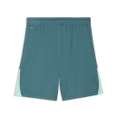 teamLIGA26 Shorts Emerald Ice-PUMA White-Mint Jelly