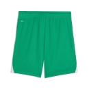 teamLIGA26 Shorts Junior Sport Green-PUMA White-PUMA White