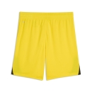 teamLIGA26 Shorts Junior Faster Yellow-PUMA Black-PUMA Black