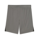 teamLIGA26 Shorts Jr Flat Medium Gray-PUMA White-PUMA Black
