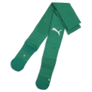 teamLIGA26 Socks Sport Green-PUMA White