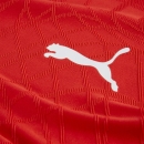 teamFINAL26 Knit Jersey PUMA Red-PUMA White