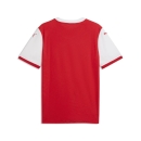 teamFINAL26 Knit Trikot PUMA Red-PUMA White