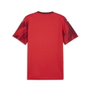 teamFINAL Graphic Trikot PUMA Red-PUMA White-Team Regal Red