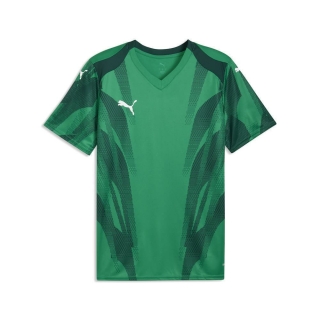 teamFINAL Graphic Trikot Sport Green-PUMA White-Dark Myrtle