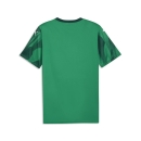 teamFINAL Graphic Jersey Sport Green-PUMA White-Dark Myrtle