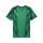 teamFINAL Graphic Trikot Sport Green-PUMA White-Dark Myrtle