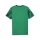 teamFINAL Graphic Trikot Sport Green-PUMA White-Dark Myrtle