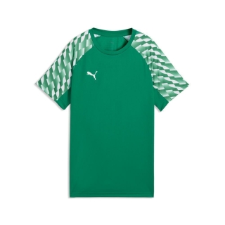 teamLIGA26 Jersey Junior Sport Green-PUMA White-Sport Green 152