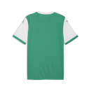 teamFINAL26 Jersey Sport Green-PUMA White