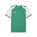 teamFINAL26 Knit Trikot Sport Green-PUMA White