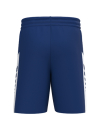 INTRO Shorts new navy