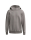 PREMIA Hoody taupe