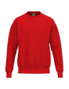TS Sweatshirt rot