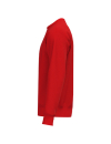 TS Sweatshirt rot