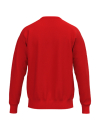 TS Sweatshirt rot