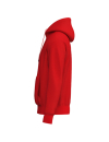 TS Hoody rot