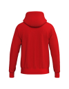 TS Hoody rot