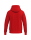 TS Hoody rot