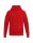 TS Hoody rot