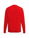 CMPT Wings Sweatshirt rot