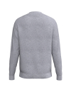 CMPT Wings Sweatshirt grau melange