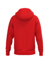 CMPT  Wings Hoody Jacket rot
