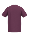 CMPT Wings T-Shirt burgundy/lavender