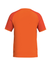 WINGS Jersey Shortsleeve orange/mandarine