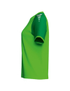 WINGS Trikot kurzarm green gecko/smaragd