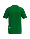 T&F WINGS T-Shirt function smaragd/green gecko