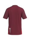 T&F WINGS T-Shirt function bordeaux/rot