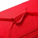 ACADEMY TEAM Bag L university red