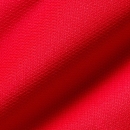 ACADEMY TEAM Backpack L university red