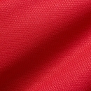 ACADEMY TEAM Backpack M university red