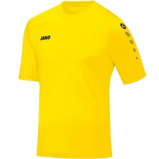 Jersey Team S/S citro 140