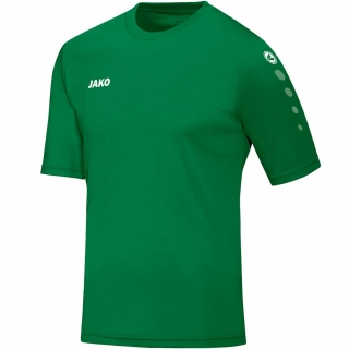 Jersey TEAM shortsleeve sports green