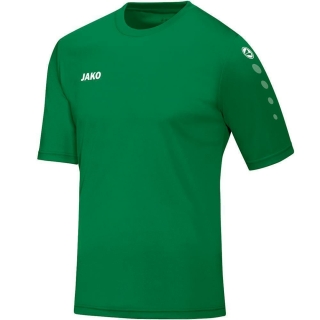 Trikot Team KA sportgrün 152