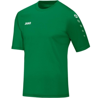 Jersey Team S/S sport green S