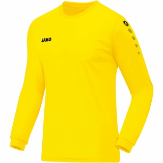 Jersey TEAM longsleeve citro