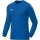 Jersey Team L/S sport royal 164