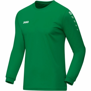 Jersey TEAM longsleeve sports green