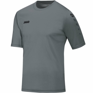 Jersey TEAM shortsleeve stonegrey