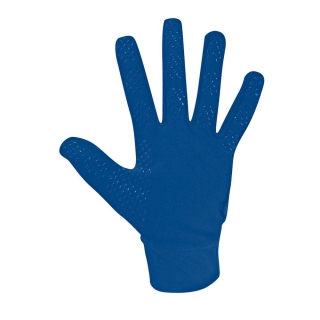 Player glove Function royal